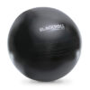 Blackroll Gymball Fitnessbal 65 cm
