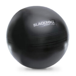 https://www.popula.nl/wp-content/uploads/2020/04/Blackroll-Fitnessbal-65-cm.jpg