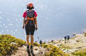 Wandelstokken