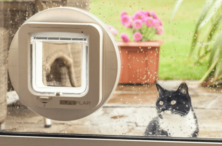 Artistiek Bijzettafeltje Maak een sneeuwpop Kattenluik met chip: Beste kattenluiken met chip van 2023 | Popula.nl