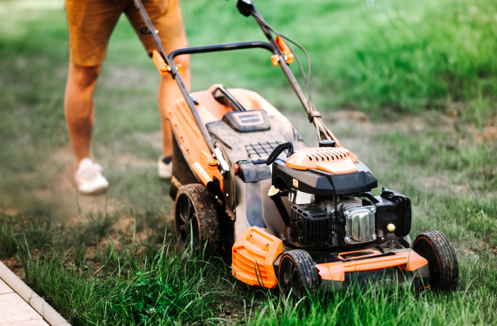 Materialisme boog Afleiding Accu grasmaaier: 5x de beste grasmaaiers met accu | Popula.nl